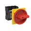 P3 Main switch, 80 A,Rear mounting, 3 pole, Form V/SVB, Red, Door coup thumbnail 6