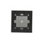 Light push button, (module), 10AX, quick connection, black matt thumbnail 2