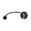 C22-WRS3-MS1-K20-P5 Key-operated actuator, RMQ compact solution, maintained, 2 N/O, Cable (black) with M12A plug, 4 pole, 1 m, 3 positions, MS1, Bezel: titanium thumbnail 7