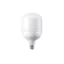 Philips LED, T-shape T120, Mains only, 40 W, E27, 3000 K, 4300 lm, CRI 80, 15000 hour(s) thumbnail 1