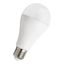 Ecobasic LED A65 E27 240V 20W 2700K Opal thumbnail 1