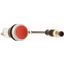 C22-D-R-K01-P3 Pushbutton, Flat, momentary, 1 NC, Cable (black) with M12A plug, 4 pole, 0.5 m, red, Blank, Bezel: titanium thumbnail 4