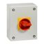 P3 Main switch, 80 A,Surface mounting, 3 pole, Form SE, Red, Door coup thumbnail 9