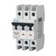 Miniature circuit breaker (MCB), 6 A, 3p, characteristic: D thumbnail 5