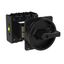 P3 Main switch, 80 A,Rear mounting, 4 pole, Form V/SVB, Black, Door co thumbnail 3
