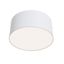 Ceiling & Wall Zon Ceiling Lamp White thumbnail 2