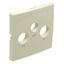 COVER PLATE FOR R-TV-SAT SOCKETS IVORY thumbnail 2