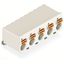 2092-3375 1-conductor THT female connector angled; push-button; Push-in CAGE CLAMP® thumbnail 3