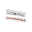 Z-SV-16/1P+N-F/6 Busbar, 1Ph, 16qmm, 6 module thumbnail 3