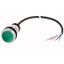 C22-DL-G-K10-24-P65 Illuminated pushbutton actuator, Flat, momentary, 1 N/O, Cable (black) with non-terminated end, 4 pole, 3.5 m, LED green, green, Blank, 24 V AC/DC, Be thumbnail 1