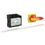 P3 Main switch, 80 A,Rear mounting, 3 pole, Form M4/K2-R, Red, Short t thumbnail 6