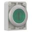 M30C-FDRL-G-X1 Illuminated pushbutton actuator, RMQ-Titan, Flat, maintained, green, inscribed, Metal bezel thumbnail 8