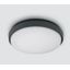 ANTHRACITE PLAFO 20W WW IP54 230V thumbnail 1