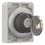 M30C-FWRS-X95 Key-operated actuator, Flat Front, maintained, 2 positions, Key withdrawable: I, II, Metal bezel thumbnail 8
