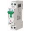 PLN6-C2/1N-DE Small circuit breaker, instead of --> 279154 thumbnail 2