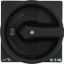 Main switch, P1, 40 A, rear mounting, 3 pole, STOP function, With black rotary handle and locking ring, Lockable in the 0 (Off) position, With metal s thumbnail 1