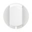 PULL-CORD SWT ROCKER WHITE thumbnail 4