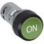 CP9-1034 Pushbutton thumbnail 24