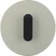 Centre plate for cable out., arsys, light bronze matt, lacq. thumbnail 1