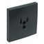 SAF C.PLATE F/EARTH SOCKET (USA NEMA) GRAY thumbnail 1