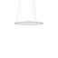 FLATLINER SLIM, 38 W, 3000 lm, 840, white, DALI Pendant luminaires, D  thumbnail 2