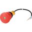 C22-PVT45P-MPI-K11-P65 Emergency stop/emergency switching off pushbutton, Palm-tree shape, 45 mm, Turn-to-release function, 1 NC, 1 N/O, Cable (black) with non-terminated en thumbnail 4