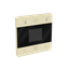 c-plate temp. display thumbnail 2
