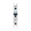Miniature circuit breaker (MCB), 4 A, 1p, characteristic: C thumbnail 15