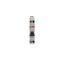 SN201 L-C6 Miniature circuit breaker - 1+NP - C - 6 A thumbnail 3