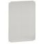 Plain plate - for cabinets h. 1200 x w. 600 mm thumbnail 1