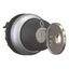 M22-WRS-MS20 Key-operated actuator, maintained, 2 positions, MS20, Key withdrawable: 0, I, Bezel: titanium thumbnail 11