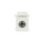 0229/42-500 Keystone module with 3.5mm Mini-Audio white thumbnail 1