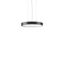 TRIONA round, 28 W, 3250 lm, 840, anthracite, DALI Pendant luminaires, thumbnail 2