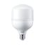 Philips LED, T-shape T100, Mains only, 30 W, E27, 3000 K, 3200 lm, CRI 80, 15000 hour(s) thumbnail 2