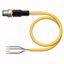 Actuator and Sensor Cable, PUR Connection Cable   RSC4.4T-2/TXY thumbnail 2