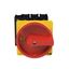 P3 Main switch, 80 A,Rear mounting, 4 pole, Form V/SVB, Red, Door coup thumbnail 6