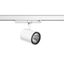 CALIDO CLICKBEAM maxi D90, 26 / 26 W, 2900 / 3100 lm, 840, white, on/o thumbnail 2