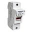 Fuse Carrier 1-pole, 100A, 22x58 thumbnail 3