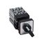 CAM SWITCH 10A CHANGEOVER 2P thumbnail 2