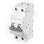 MD99 thumbnail 2