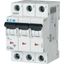 PL6-C6/3 Miniature circuit breaker (MCB), 6 A, 3p, characteristic: C thumbnail 2