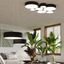 CEILING LAMP ARENA 35 BLACK E27 2X60W IP20 thumbnail 10