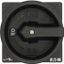 T3-4-15682/EA/SVB-SW Main switch, T3, 32 A, flush mounting, 4 contact unit(s), 6 pole, 1 N/O, 1 N/C, STOP function, With black rotary handle and locking ring, Lockable in thumbnail 4