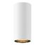 ASTO TUBE, ceiling-mounted light, cylindrical, GU10, 1x max. 10 W, white thumbnail 2