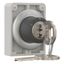 M30C-FWRS3-RS Key-operated actuator, Flat Front, maintained, 3 positions, Ronis 455, Key withdrawable: I, 0, II, Metal bezel thumbnail 11