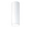 P-INF SC R100 1800-930 LDO WH WH - LED surface-mount ceiling luminaire thumbnail 1