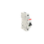 MD99 thumbnail 2