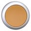 M22-DL-A Illuminated pushbutton actuator, RMQ-Titan, Flush, momentary, orange, Blank, Bezel: titanium thumbnail 6