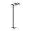 FS CMFT POLE P BK LEDV thumbnail 2