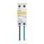 RCD/MCB combination switch 6kA 1P+N 25A B-kar 300mA FLEX aside thumbnail 2